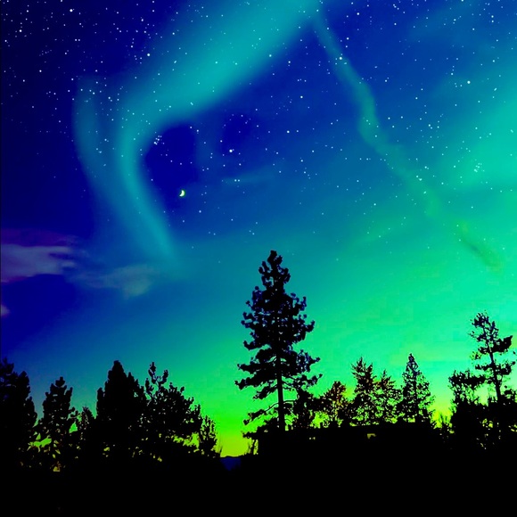 Meet your Posher, KJ - Picture 1 of 1